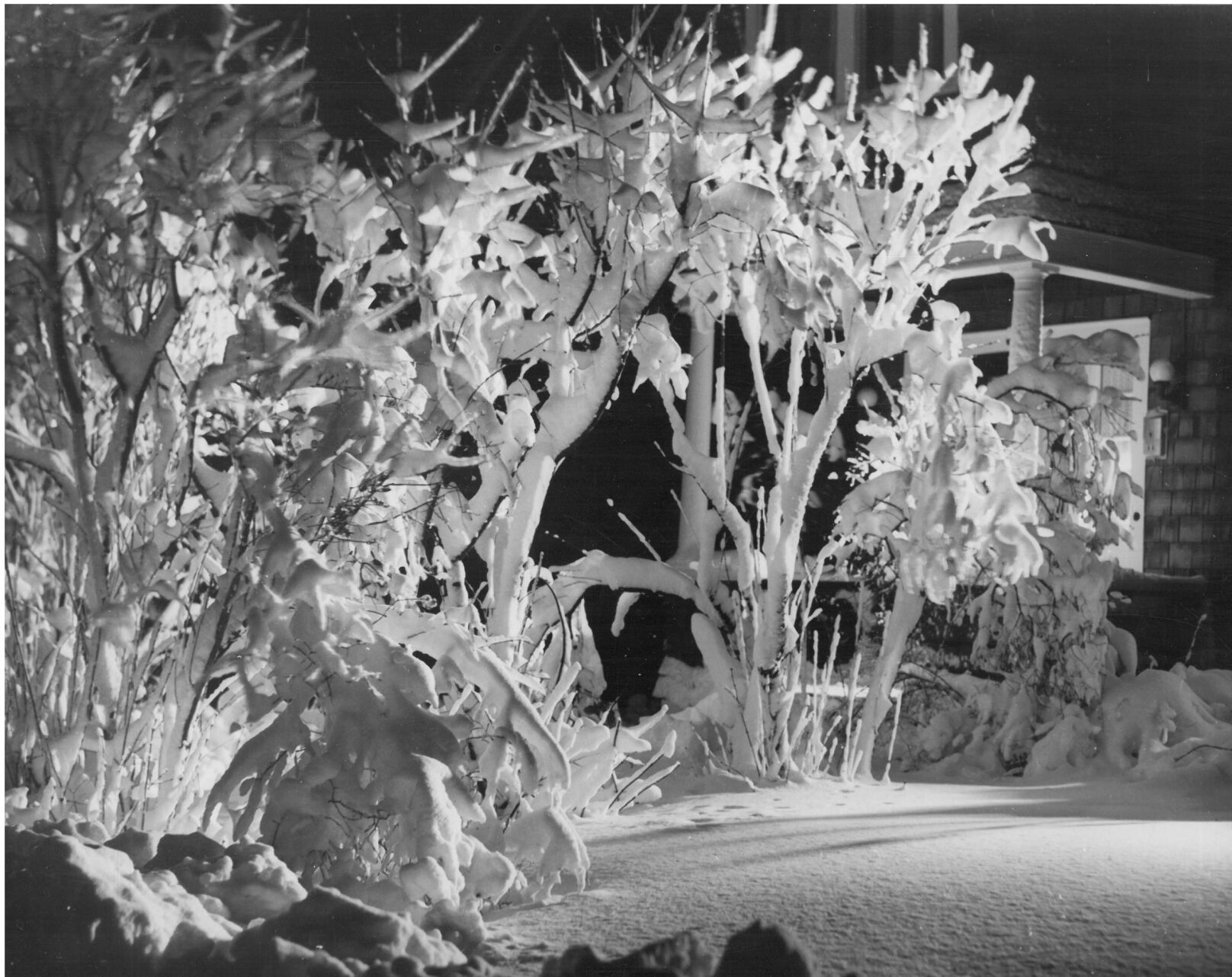 Outside Arthur Palme's house, March 1947